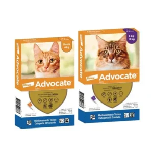 Advocate