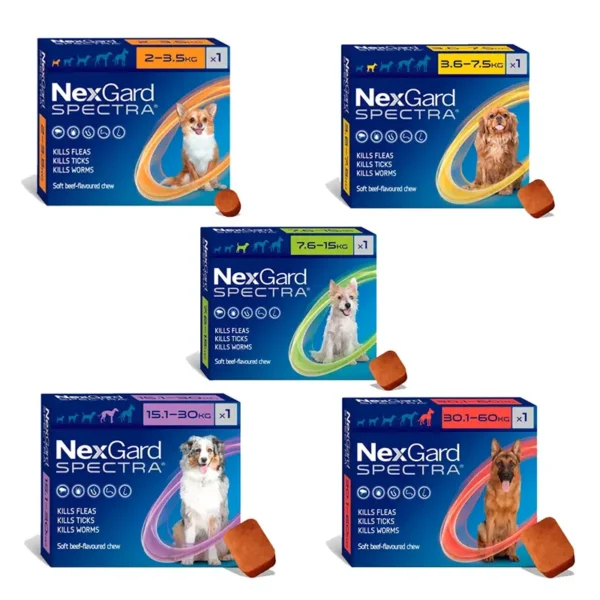 Nexgard Spectra