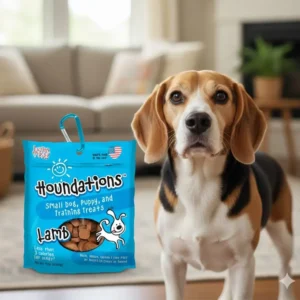 Houndations (Lamb - Cordero)