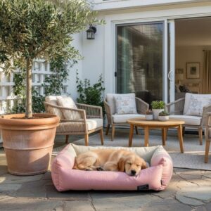 Cama Cuadrada Bicolor